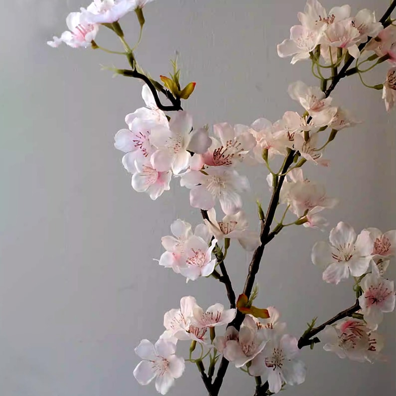 May include: A close-up of a flowering branch with delicate, light pink blossoms. The flowers have a soft, layered appearance with darker pink centers. The branches are dark brown, and the background is a neutral gray.