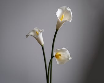 25.7" Set of 3 Real Touch White Calla Lily Stems - High Quality Faux Silk Artificial Flowers, Realistic for Wedding Bouquet Centerpiece