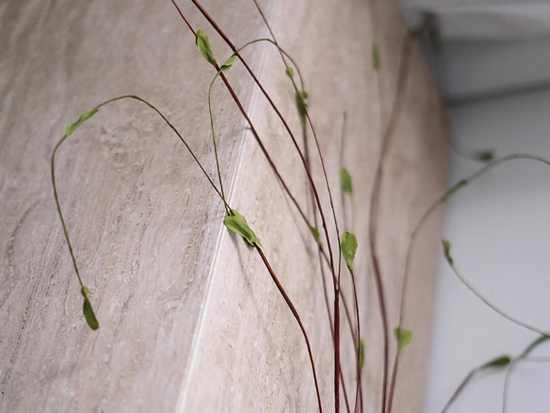 May include: Close-up of decorative stems with slender, dark brown branches and small, light green leaves. The stems curve gracefully against a textured, light beige background, creating a natural, minimalist aesthetic. Ideal for home decor.