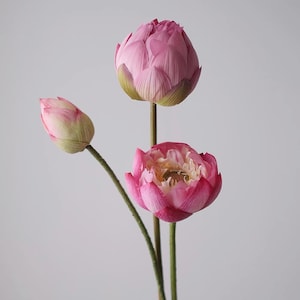 Pink Lotus Stems Faux Artificial Pink Lotus Small Bud Large Bud Open Bloom Pods Realistic Real Touch Zen Vase Filler Wedding Spa Boho Decor