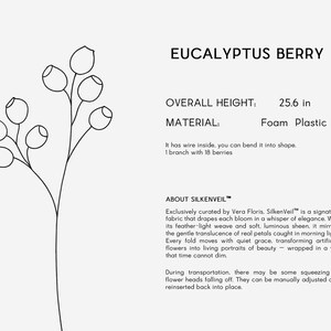 May include: A black and white line drawing of a eucalyptus berry branch with 18 berries. The overall height is 25.6 inches. The material is foam plastic. The text "EUCALYPTUS BERRY" is at the top.