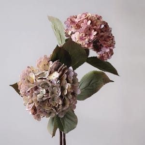Pode incluir: Duas hastes de flores de hortênsia artificiais com grandes flores redondas em tons de rosa, lavanda e creme. As flores têm múltiplas camadas de pétalas e são rodeadas por folhas verdes grandes. As hastes são de cor castanho escuro.