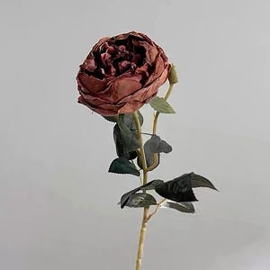Timeless Austin Rose Stem – Vintage Artificial Garden Rose | Real Touch Fake Flowers for Wedding Bouquets | Home Décor & Floral Arrangements