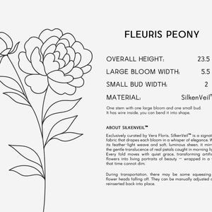 Pode incluir: Desenho a tra&ccedil;o de uma flor de pe&oacute;nia com um bot&atilde;o e folhas. A altura total &eacute; de 59.7 cm, a largura da flor grande &eacute; de 14 cm e a largura do bot&atilde;o pequeno &eacute; de 5 cm. O material &eacute; SilkenVeil.