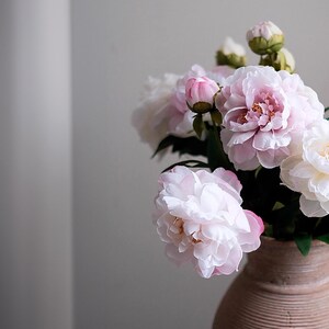 Pode incluir: Um buqu&ecirc; de pe&ocirc;nias rosa claro e brancas em um vaso marrom texturizado. As flores t&ecirc;m m&uacute;ltiplas camadas de p&eacute;talas delicadas, com alguns bot&otilde;es ainda fechados. O vaso &eacute; cil&iacute;ndrico e tem uma apar&ecirc;ncia r&uacute;stica e terrosa. O fundo &eacute; cinza claro neutro.