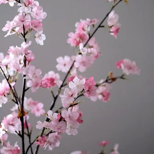 May include: Close-up of a flowering branch with delicate pink cherry blossoms. The flowers vary in shades of pink, from light to deep, against dark branches. The background is a soft gray.