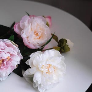 Pode incluir: Close-up de v&aacute;rias flores de pe&oacute;nia em tons de rosa e branco, com folhas verdes. As flores est&atilde;o dispostas sobre uma superf&iacute;cie branca, com ilumina&ccedil;&atilde;o suave. As p&eacute;talas t&ecirc;m uma textura delicada e os centros um tom amarelo.