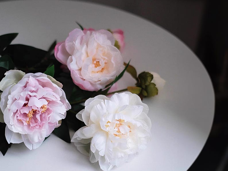 Pode incluir: Close-up de v&aacute;rias flores de pe&oacute;nia em tons de rosa e branco, com folhas verdes. As flores est&atilde;o dispostas sobre uma superf&iacute;cie branca, com ilumina&ccedil;&atilde;o suave. As p&eacute;talas t&ecirc;m uma textura delicada e os centros um tom amarelo.