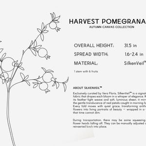 May include: Harvest Pomegranate Autumn Canvas Collection. A line drawing of a pomegranate branch with leaves and fruit. Overall height is 31.5 inches, spread width is 1.6-2.4 inches. Material is SilkenVeil.