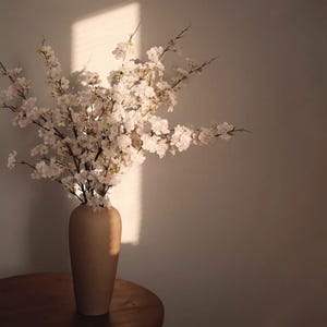 May include: A beige ceramic vase holds a bouquet of white and light pink cherry blossom branches. The vase sits on a wooden table, with sunlight casting shadows on the wall behind it. The overall aesthetic is soft and natural.