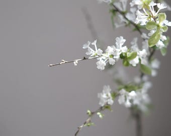 34" Real Touch White Blossom Branch - High Quality Faux Artificial Cherry Blossom Stem, Realistic Spring Sakura for Wedding, gifts