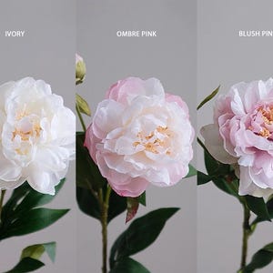 Pode incluir: Tr&ecirc;s hastes de pe&oacute;nias artificiais em marfim, rosa ombre e rosa blush. Cada flor tem m&uacute;ltiplas camadas de p&eacute;talas macias com um centro amarelo. As hastes t&ecirc;m folhas verdes sobre um fundo cinzento.