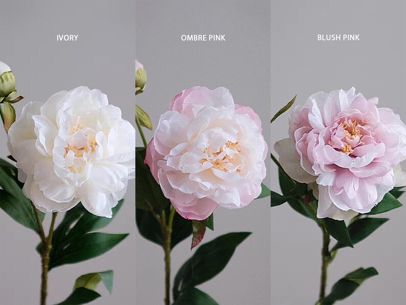Pode incluir: Tr&ecirc;s hastes de pe&oacute;nias artificiais em marfim, rosa ombre e rosa blush. Cada flor tem m&uacute;ltiplas camadas de p&eacute;talas macias com um centro amarelo. As hastes t&ecirc;m folhas verdes sobre um fundo cinzento.