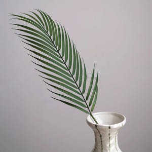 Può includere: Una foglia di palma verde in un vaso di ceramica bianca. Il vaso ha un design strutturato con linee verticali grigio scuro. La foglia è lunga e sottile, con molte piccole foglioline.