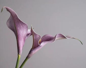 23.5" Set of 2 Real Touch White Calla Lily Stems - High Quality Faux Silk Artificial Flowers, Realistic for Wedding Bouquet Centerpiece