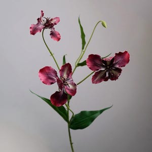 May include: A close-up of a floral arrangement featuring three dark red flowers with white and green accents. The flowers have multiple petals and are set against a light gray background. Green leaves and stems are also visible.
