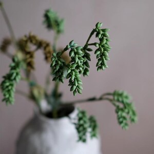 May include: A white ceramic vase with a textured, uneven surface holds several stems of artificial greenery. The plant features multiple drooping branches covered in small, light green, bead-like leaves, with some dried brown foliage visible in the back.