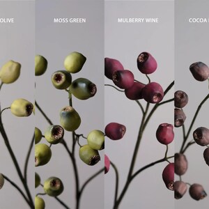 May include: Close-up of four stems with berries in Soft Olive, Moss Green, Mulberry Wine, and Cocoa Brown. The berries have a textured appearance and are attached to thin, dark stems. The background is a neutral gray.