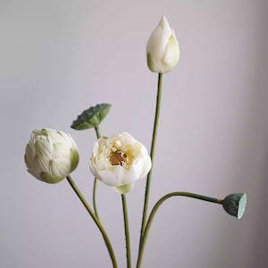 Könnte beinhalten: Nahaufnahme von künstlichen weißen Lotusblumen in verschiedenen Blühstadien. Das Bild zeigt eine geschlossene Knospe, eine halb geöffnete Blüte und eine voll erblühte Blüte mit gelbem Zentrum. Grüne Stiele und Samenkapseln sind ebenfalls zu sehen.