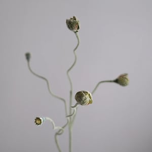 25.59" Velvet Green Bud Stems - Faux Floral Stems, Realistic Artificial Greenery for Vintage Home Décor, Rustic Wedding Arrangements, gifts