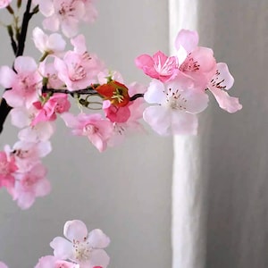 May include: A close-up of a branch with delicate pink and white cherry blossoms. The flowers have multiple layers of petals and are in various stages of bloom. The branch is dark brown, and the background is a soft, neutral color.