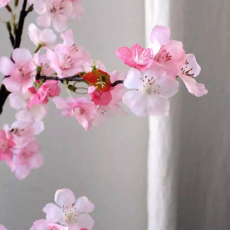 May include: A close-up of a branch with delicate pink and white cherry blossoms. The flowers have multiple layers of petals and are in various stages of bloom. The branch is dark brown, and the background is a soft, neutral color.