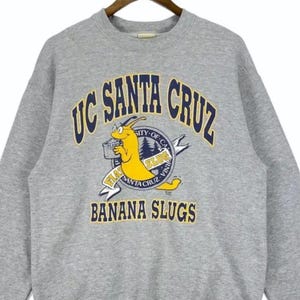 90s Ucsc Hoodie - Etsy