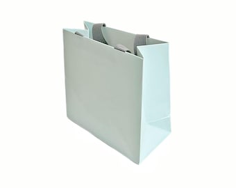 May include: A light blue gift bag with gray handles. The bag is rectangular with a glossy finish. The handles are made of a woven material. The bag is empty and ready to be filled.