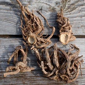Può includere: Primo piano di diversi pezzi di radice marrone essiccata con una consistenza fibrosa. Le radici sono disposte su una superficie di legno grigio e invecchiato, mostrando il loro aspetto naturale e organico. L'immagine evidenzia i dettagli intricati delle radici.