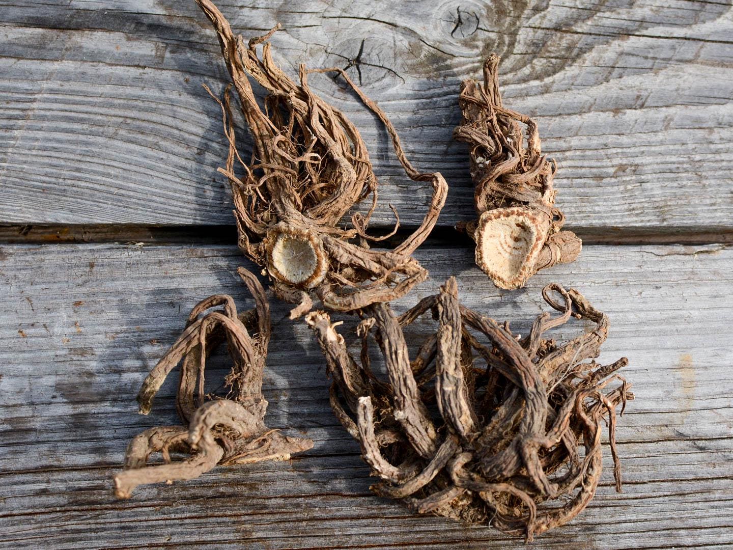 Angelica Root whole Conjure Magic Hoodoo Blessing Anti Hex