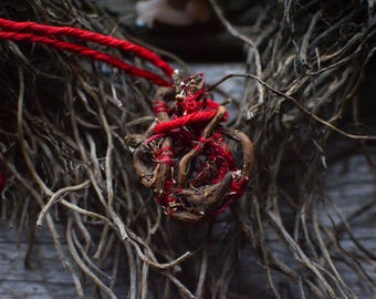 Amulet ochronny z korzenia dziurawca