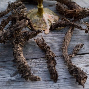 May include: Close-up of dried roots on a wooden surface. The roots are brown and have a rough texture. They are arranged in a random pattern.