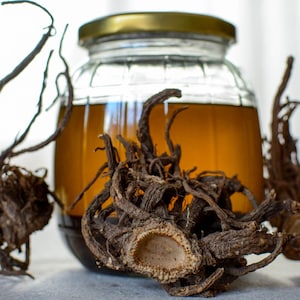 Può includere: Un barattolo di vetro pieno di un liquido marrone chiaro e sormontato da un coperchio dorato. Il barattolo è circondato da radici secche di colore marrone scuro.