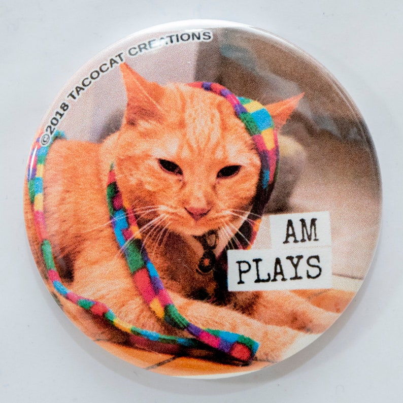 Am Plays  Cat Magnets and Buttons   Different sizes image 1
