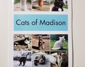 Autographed Cats of Madison Book