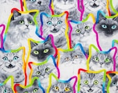 Nip Mats - Rainbow Outline Kitties Refillable Catnip Mat