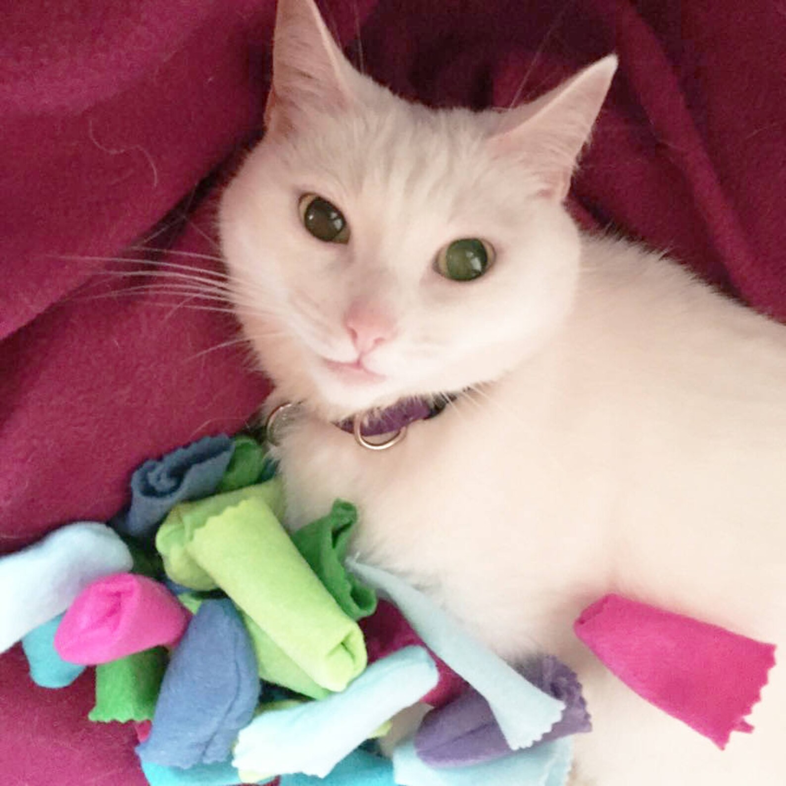 RATTLE Mewmice TWO for SIX Rattling Catnipstuffed Felt Etsy