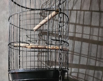 Jaula colgante antigua vintage grande gótica para loros, 99 cm