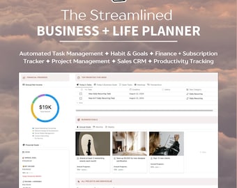 Puede incluir: Interfaz de planificador digital con el texto "The Streamlined BUSINESS + LIFE PLANNER." Incluye gestión de tareas, seguimiento de hábitos, finanzas y gestión de proyectos. Un gráfico muestra $19K de ingresos totales. El fondo es un cielo nublado.