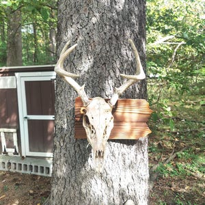 Pennsylvania Euro Mount Plaque - Made To Order