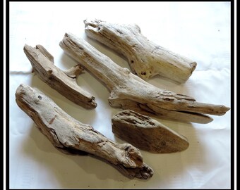 5 pieces Natural Driftwood of Atlantic Ocean, surf tumbled, beach found, wood logs  /for bases, destination weddings, crafting / ZZ32