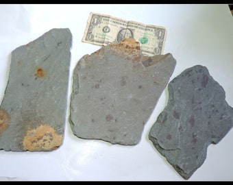 3 large beach found slabs slates, grey colored / for paintings, mosaics, crafting, party events, decor / EF14