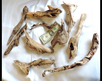 10 pieces Mix of Natural Driftwood of Atlantic Ocean / for home decor, crafting or any project / ZZ64