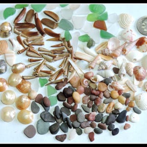 May include: A collection of assorted beach finds including smooth sea glass in green and white, various small seashells, brown sea urchin spines, and smooth pebbles. A silver-colored dime is included for scale, providing a clear size reference.