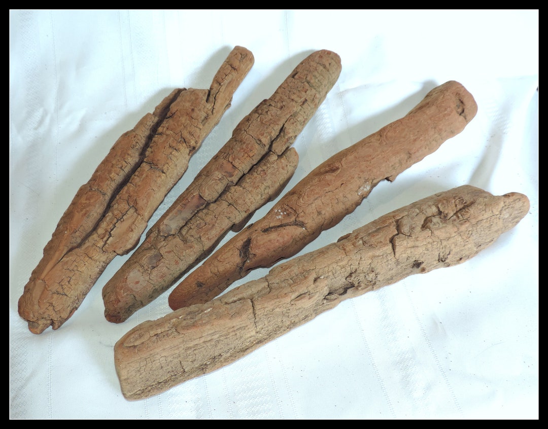 Bark Disc 4 Pieces of Wood Bark Natural Driftwood Pieces With Reddish Tint for ...