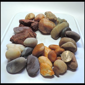 May include: A collection of smooth, colorful rocks and stones in various shapes and sizes, including shades of brown, gray, and beige. A US dollar coin is included for size comparison. The rocks are arranged in a white plastic tray.