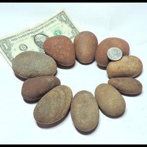 May include: A collection of smooth, oval-shaped stones in various shades of brown and gray, arranged in a circle. A one-dollar bill and a quarter are placed near the stones for size comparison. The stones have a natural, weathered appearance.