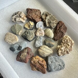 May include: A collection of various rocks and stones in shades of gray, brown, and beige. The stones vary in size and shape, with some appearing smooth and others rough. A US quarter is included for size reference.