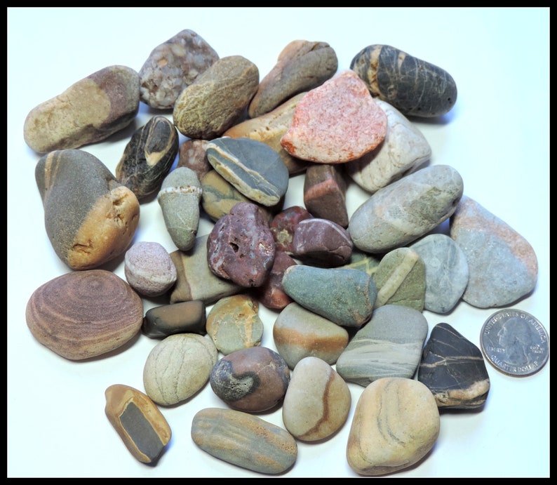 Bulk of 40 Fancy BEACH STONES for collages, collecting, home decor or crafting / 40 pieces / EF71 image 3