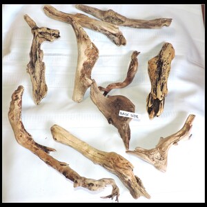 10 pieces Mix of Natural Driftwood of Atlantic Ocean / for home decor, crafting or any project / ZZ64 image 6